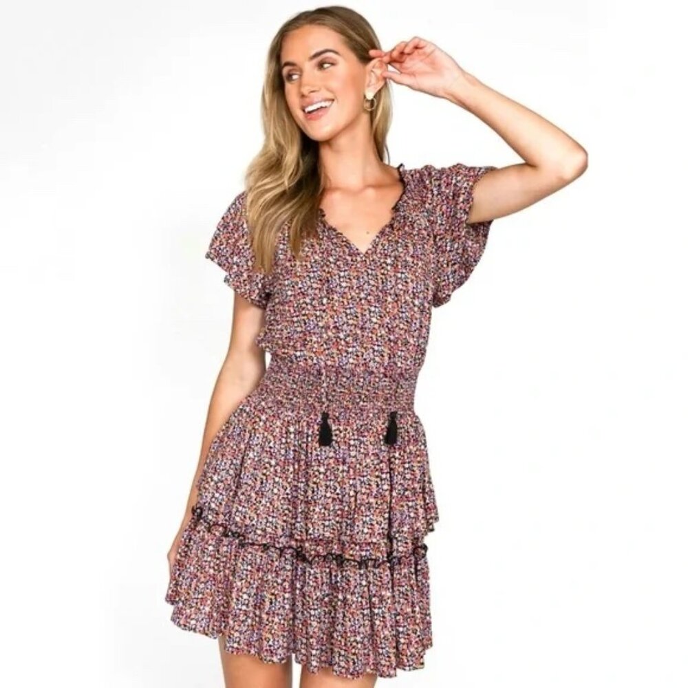 Patrons of Peace Normandie Floral Print Mini Tiered Dress - Size Small